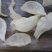 纯干挑4A中密盏燕窝印尼95干度50g680元