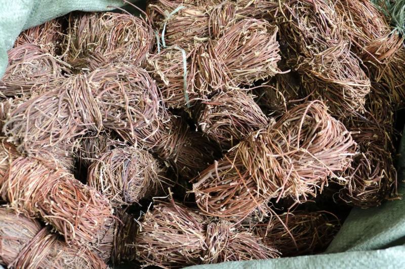 鸡骨草批发新鲜性价比高