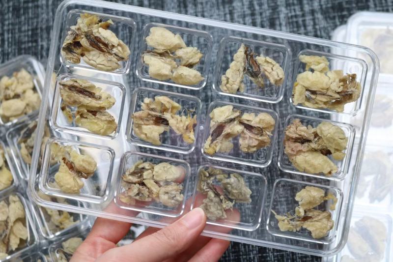 中块足干雪蛤油25g一盒