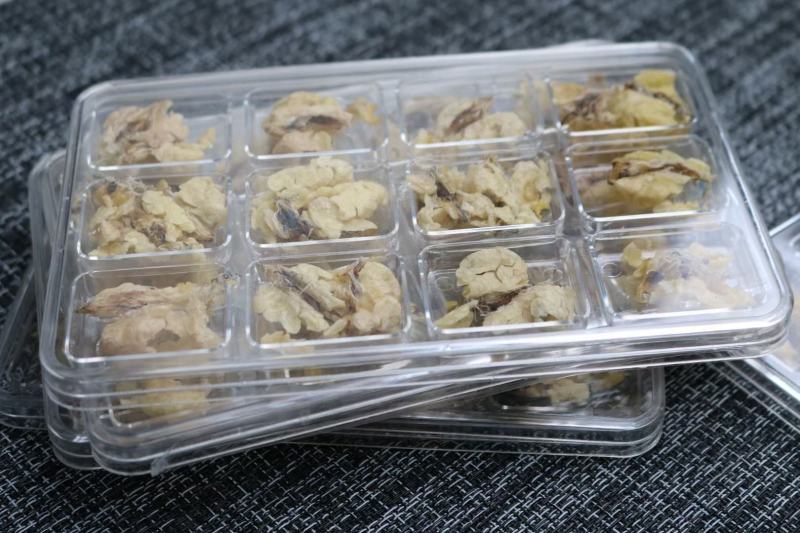 中块足干雪蛤油25g一盒