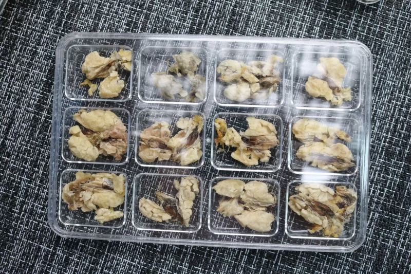 中块足干雪蛤油25g一盒