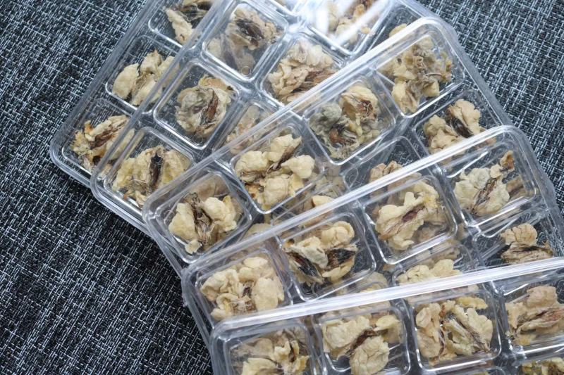 中块足干雪蛤油25g一盒