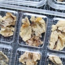中块足干雪蛤油25g一盒