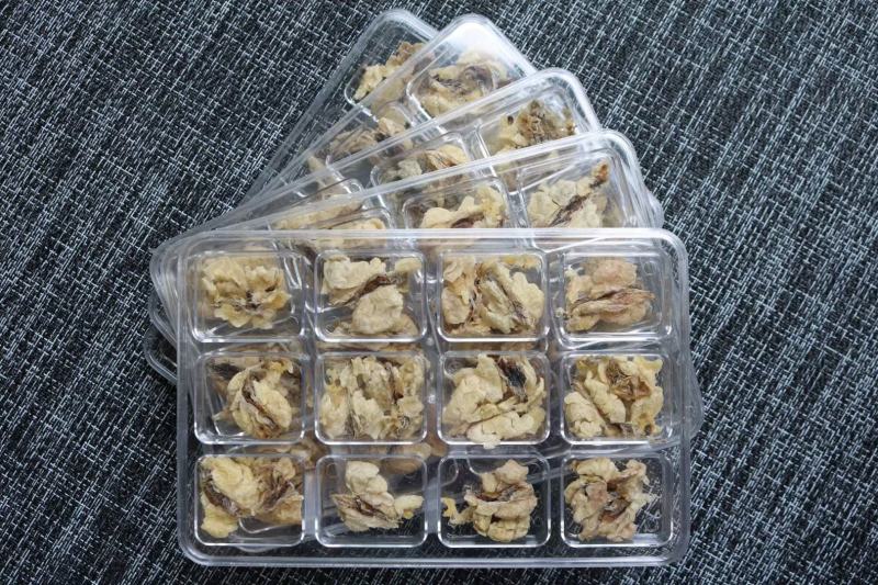 中块足干雪蛤油25g一盒