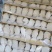 A厂金盒真空虎乳菌250g