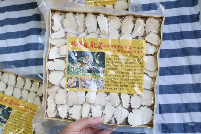 A厂金盒真空虎乳菌250g