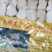 A厂金盒真空虎乳菌250g