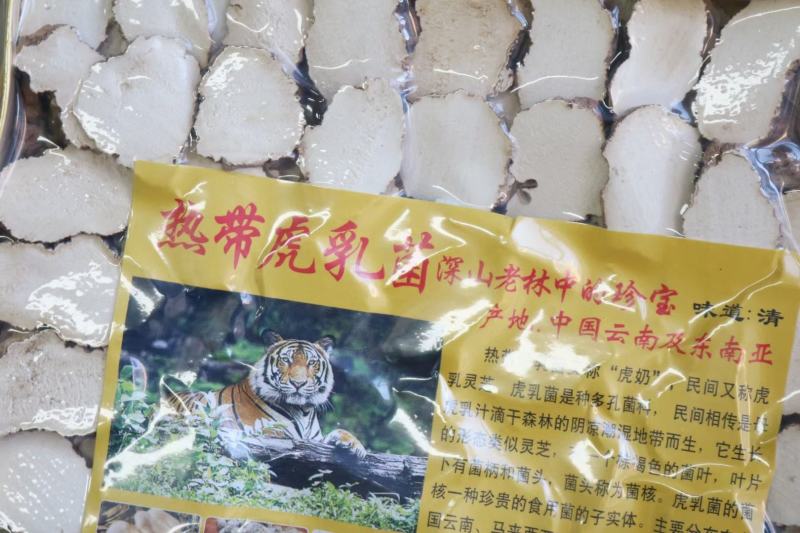 A厂金盒真空虎乳菌250g