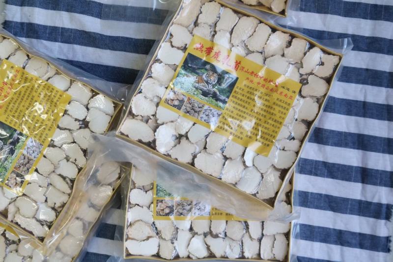 A厂金盒真空虎乳菌250g