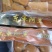 东革阿里500g一盒