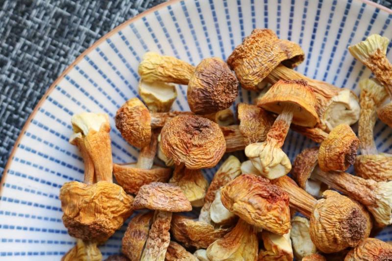 短腿姬松茸（小个短腿）