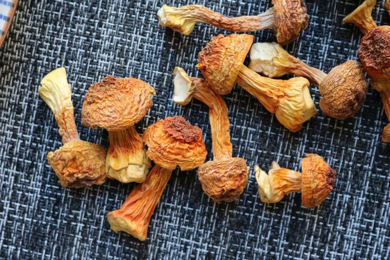短腿姬松茸（小个短腿）