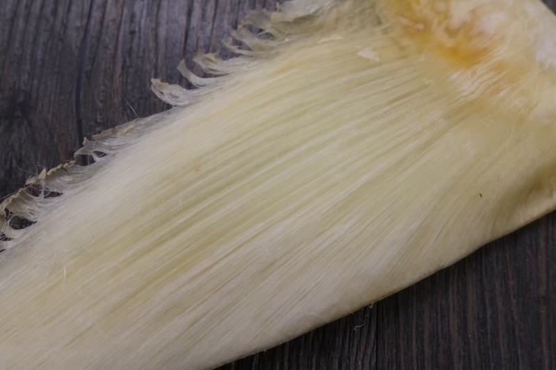 6-8寸金钩翅鱼翅几乎都是翅针