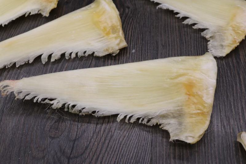 6-8寸金钩翅鱼翅几乎都是翅针