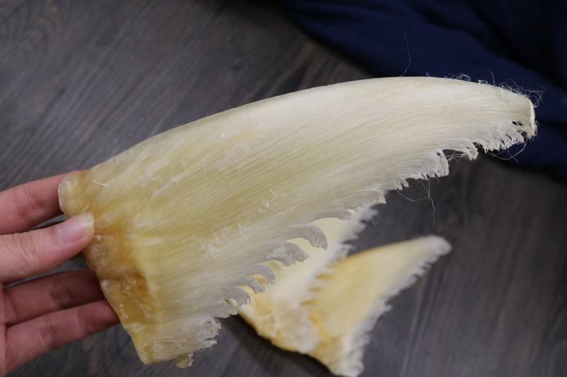6-8寸金钩翅鱼翅几乎都是翅针