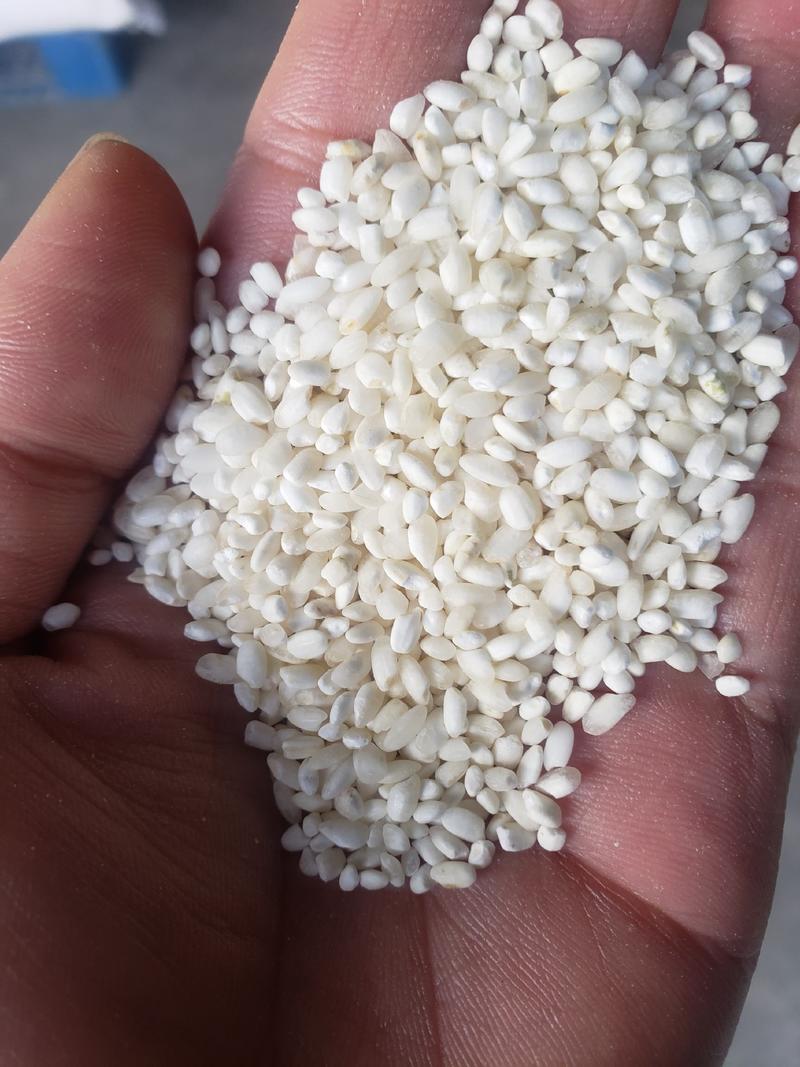 各种优质碎米，色选米，白粒米
