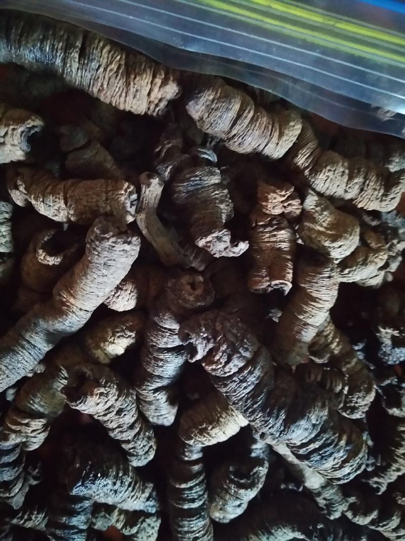 德庆特产巴戟天，诚信第一，质量保证