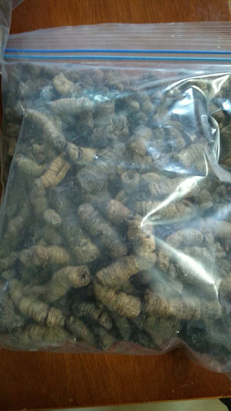 德庆特产巴戟天，诚信第一，质量保证