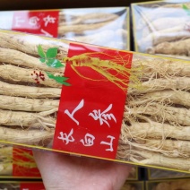 60支长白山人参盒装250g