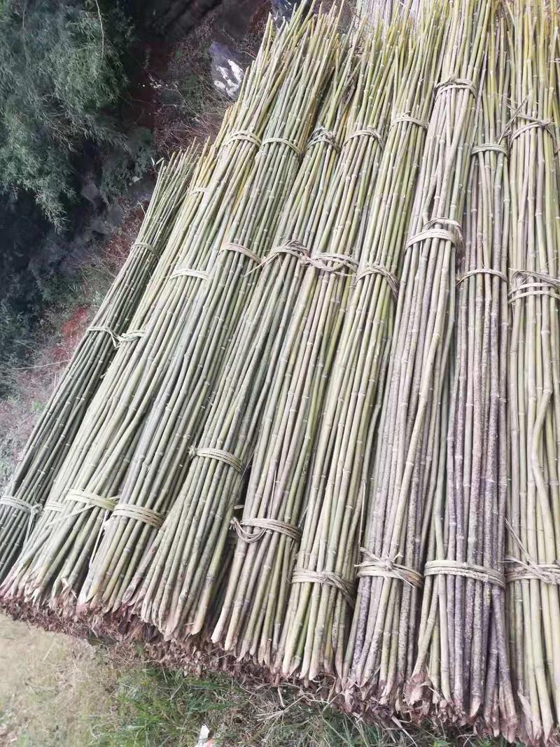 两年以上的金竹，耐用三年以上到8年，一次投入使用多年。