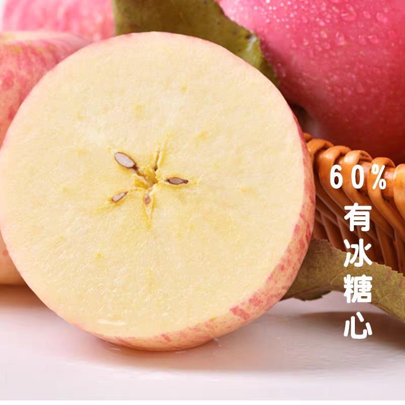 甘肃早熟晚熟【红富士苹果】产地直供，地头价，质美价廉