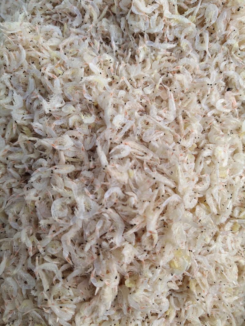 特价福利款，适合摆摊虾皮小虾皮98元起起批发