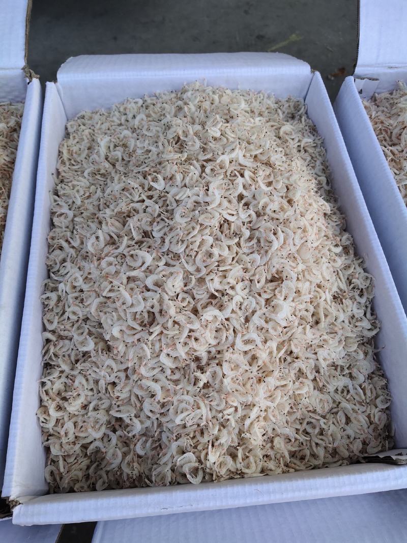 特价福利款，适合摆摊虾皮小虾皮98元起起批发