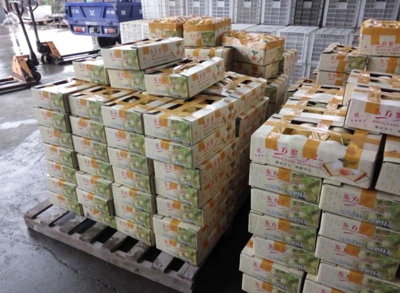 东方蜜晓蜜25包装箱打包支持定做纸箱加重