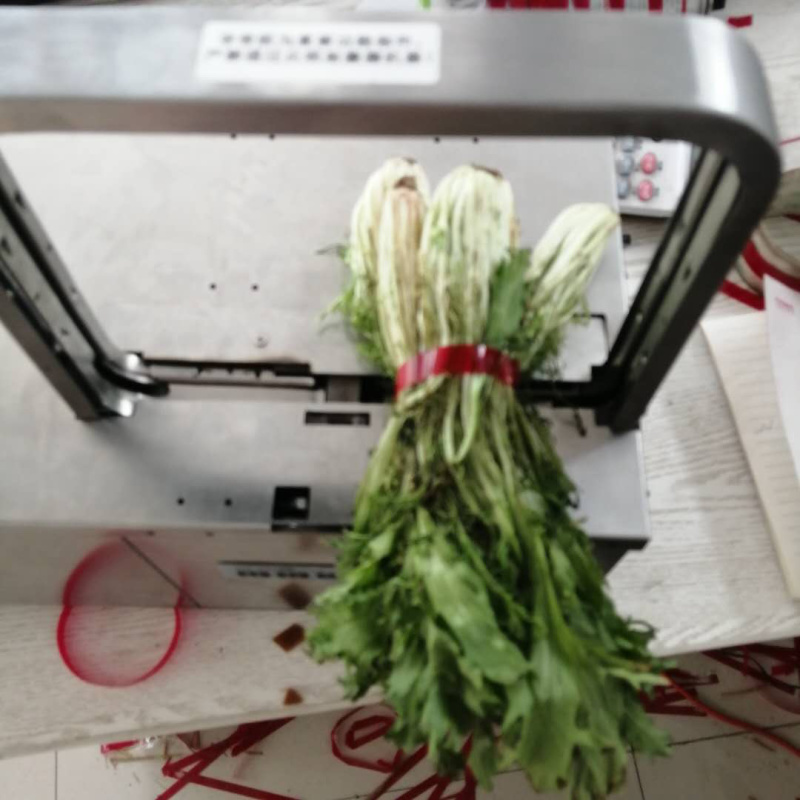 鑫嘉强面条厂手工挂面扎捆机小型扎带机超市扎蔬菜机