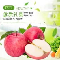 甘肃礼县优质红富士大量供应中，价格便宜，走货快