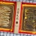 双拼礼盒套餐二[60支长白山人参150g+45支红参压条