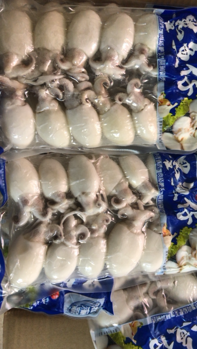 墨鱼仔去皮去内脏墨鱼仔火锅食材目鱼仔章鱼仔