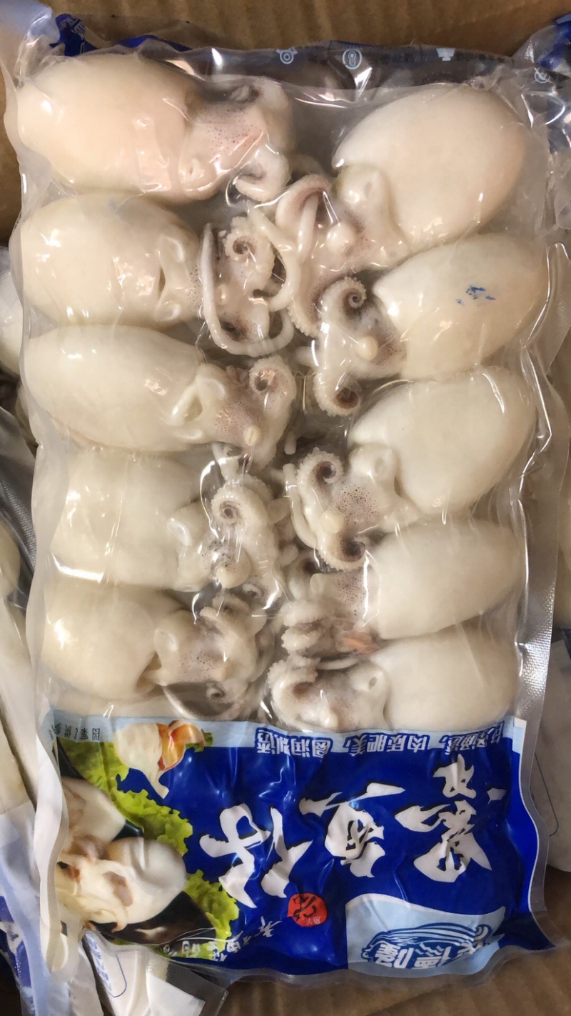 墨鱼仔去皮去内脏墨鱼仔火锅食材目鱼仔章鱼仔