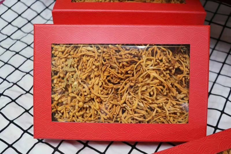 虫草花排草200g礼盒装。虫草花含丰富的蛋白