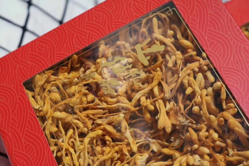 虫草花排草200g礼盒装。虫草花含丰富的蛋白