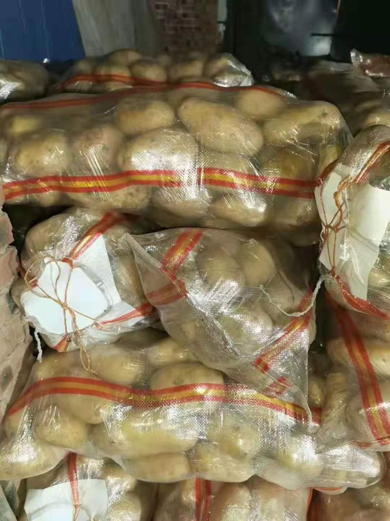 土豆，大量供应，对接全国各地客商老板看货下单