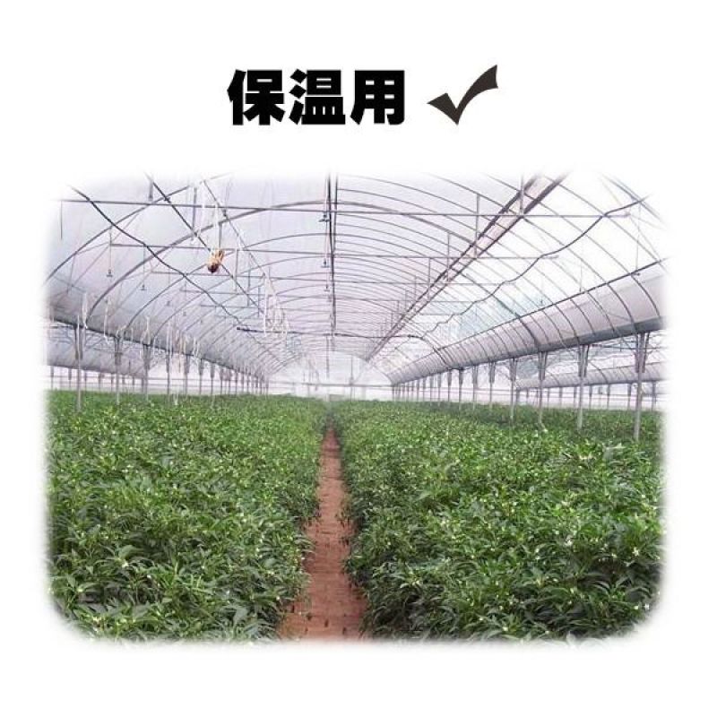 白地膜，种植膜保温膜混凝土养护膜，装修防尘膜。