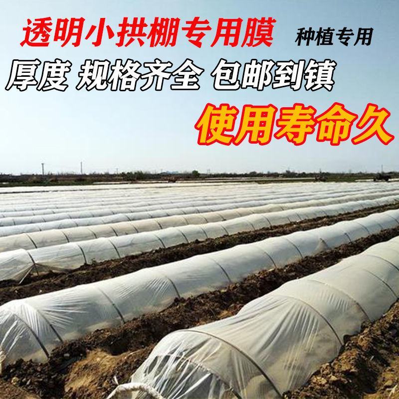 白地膜，种植膜保温膜混凝土养护膜，装修防尘膜。