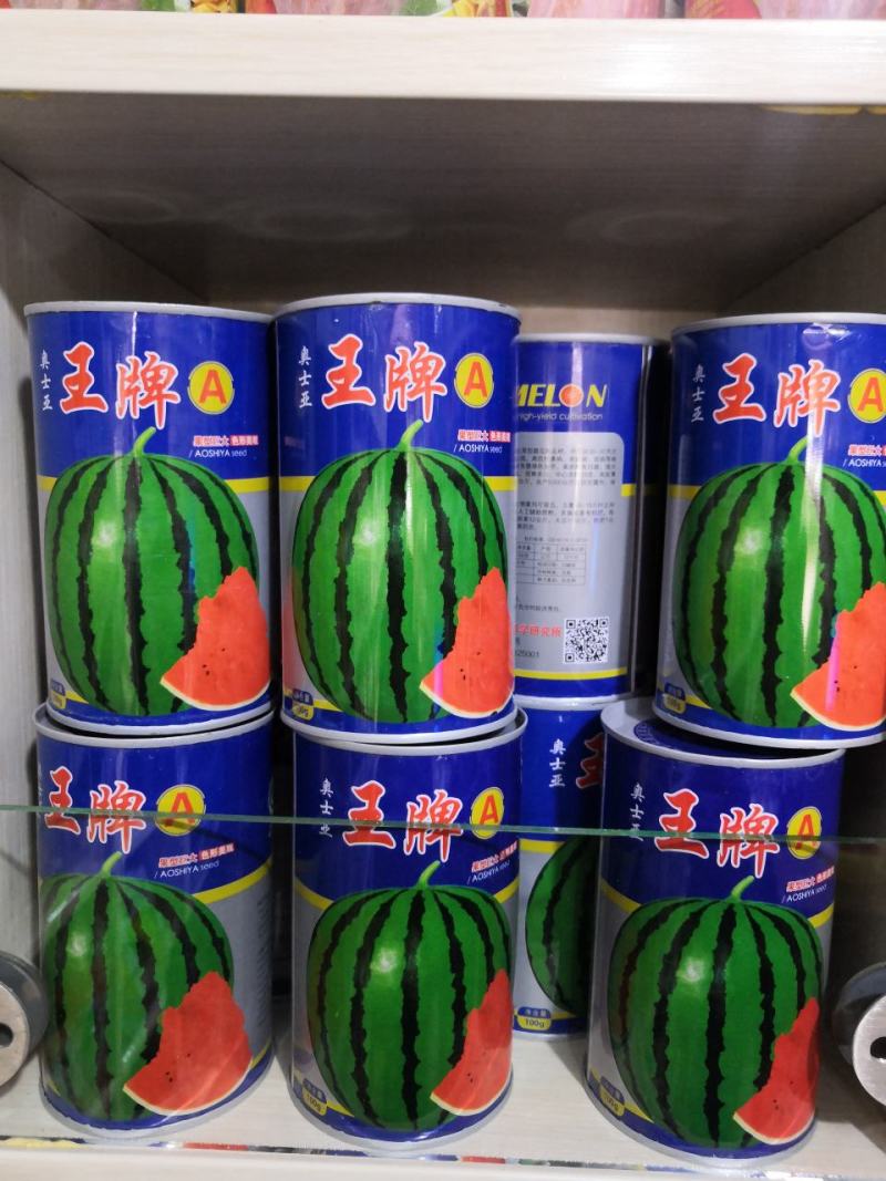 【纯正红瓤】高糖大果西瓜种子耐重茬蜜甜抗病抗裂少籽西瓜