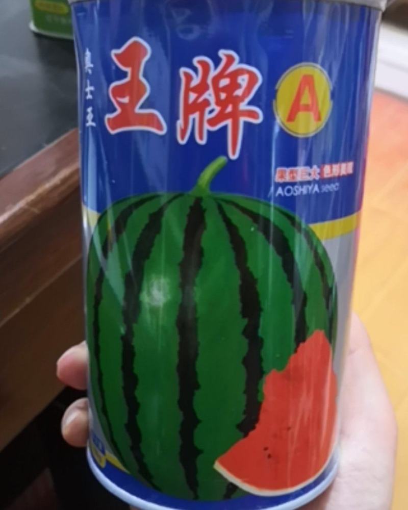 【纯正红瓤】高糖大果西瓜种子耐重茬蜜甜抗病抗裂少籽西瓜