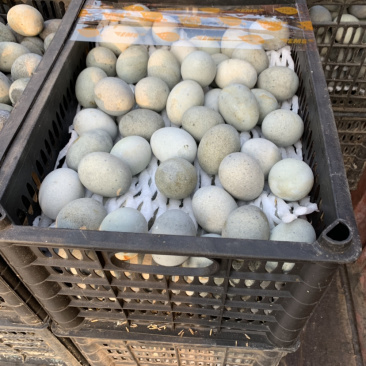 松花鸭蛋精品麻壳皮蛋。地摊货低价出售