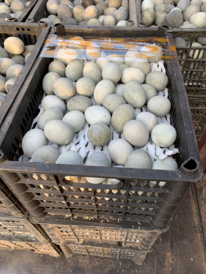 松花鸭蛋精品麻壳皮蛋。地摊货低价出售