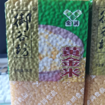 黄金米（来自黑土地的优质玉米）1斤装，煮饭煮粥，免淘洗