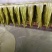 黄豆腐竹批发手工无添加防腐素食清流豆腐皮客家腐竹厂家