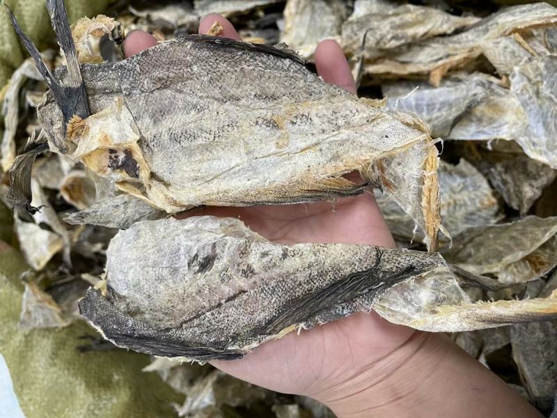 柴鱼皮鱼干超香适合煲汤