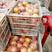 红富士苹果大量上市，口干好，果面干净，欢迎选购。