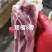 睿航35%带肉S骨，睿航S骨，冻猪S骨，带肉多多，