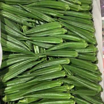 黄秋葵大量现货直供！