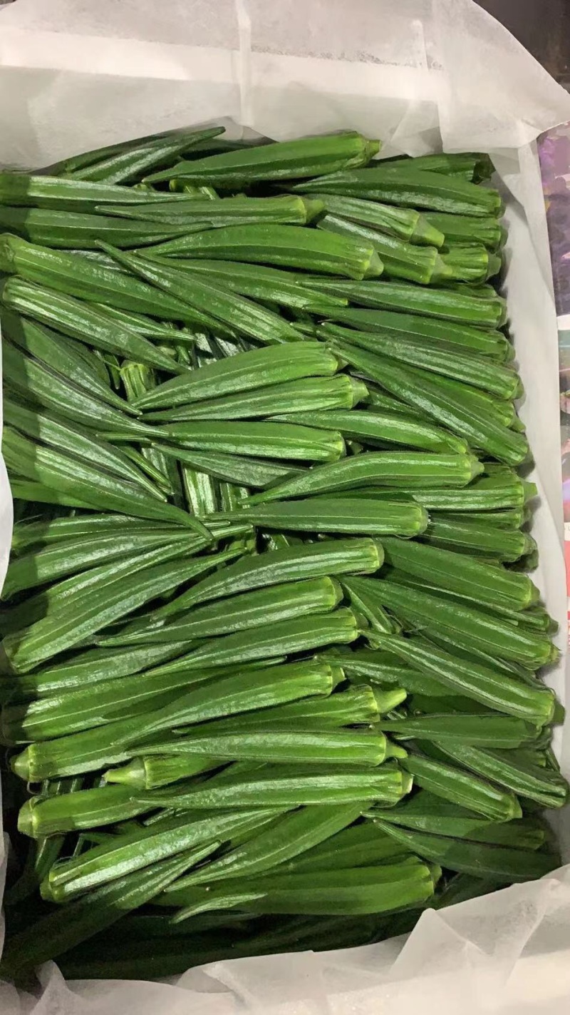 黄秋葵大量现货直供！
