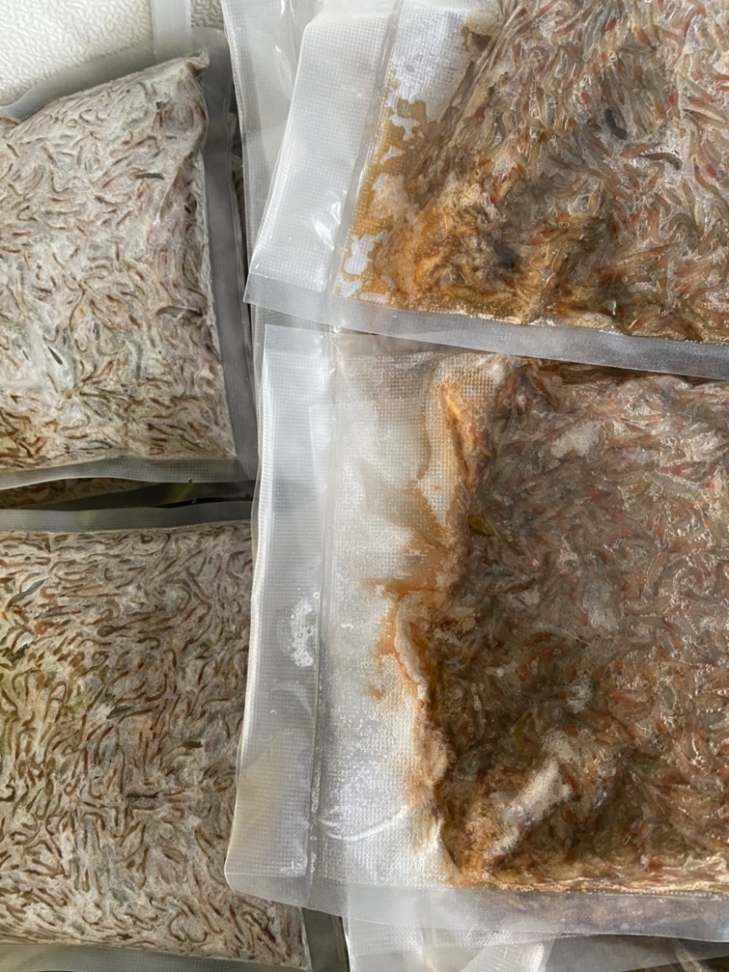 清水河虾冻版半斤装都是活虾冻的